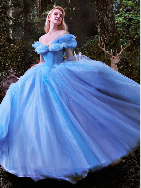 Cinderella Ball Gown Evening Dress G8020