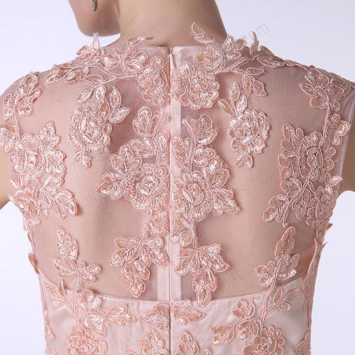 Vintage Blush Lace Maxi Formal Prom Evening Dress EN136