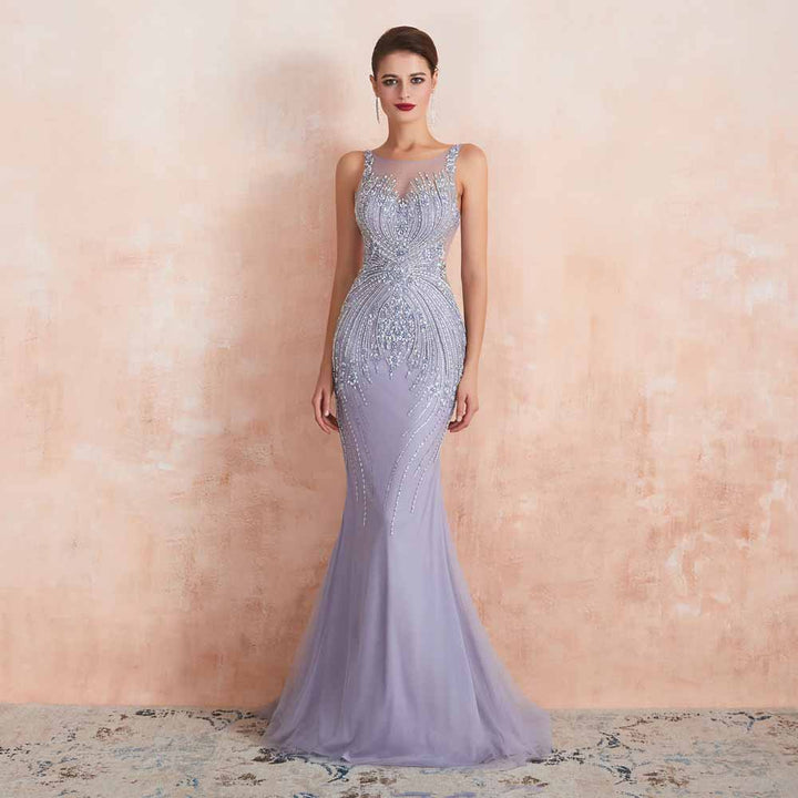 Elegant Silver Fitted Maxi Black Tie Formal Evening Dress EN3405