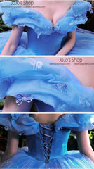 Cinderella Ball Gown Evening Dress G8020