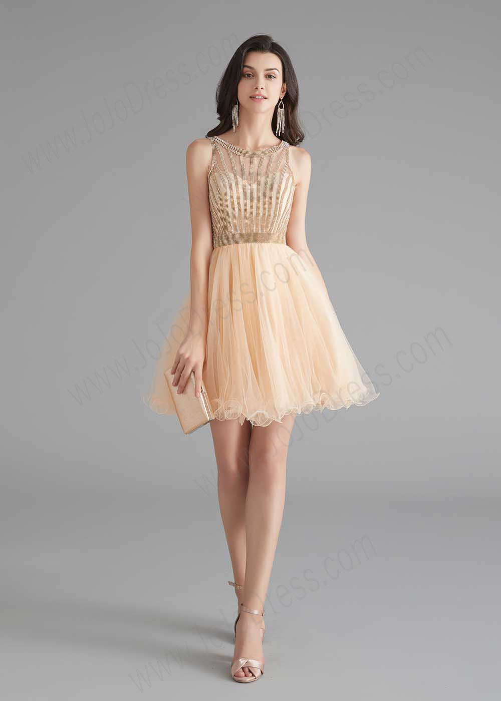 Chic Short Champagne Tulle Evening Dress Size 26W / Champagne Chic Short Champagne Tulle Evening Dress Size 26W / Champagne
