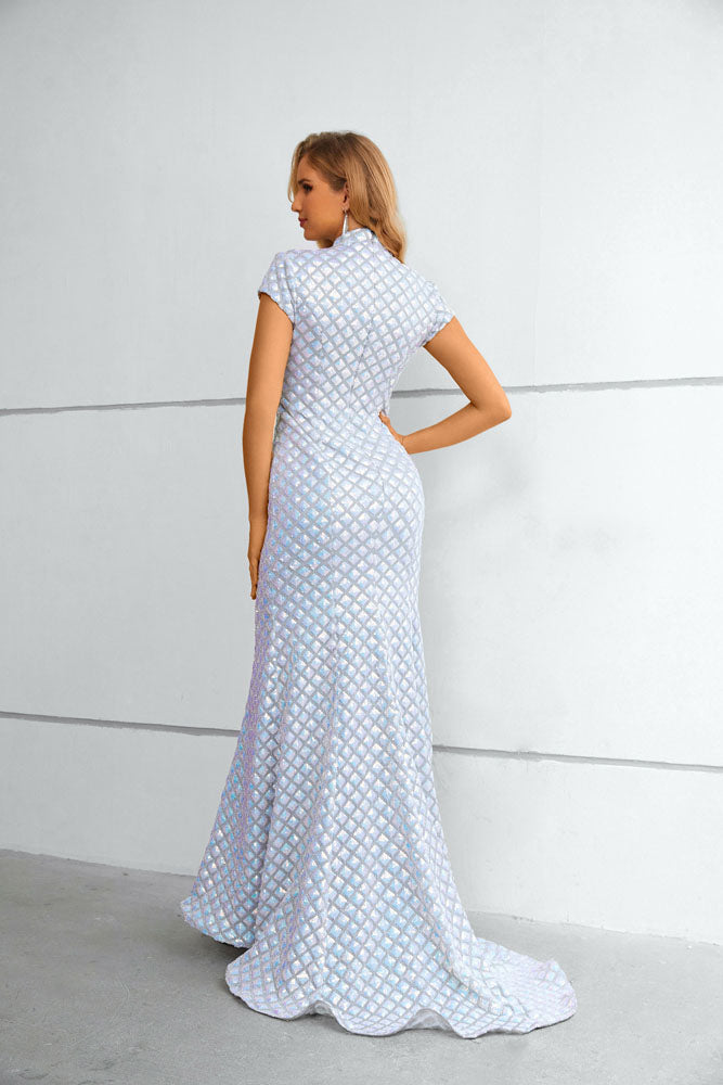 Modest Fitted Mermaid Iridescent Formal Prom Evening Dress EN5605