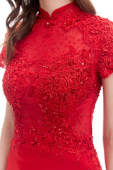 Red Fitted Floor Length Formal Dress with Mandarin Collar EN4615