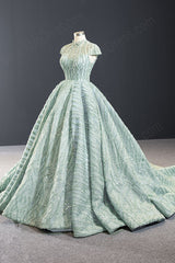 Sparkly Sage Green Black Tie Ball Gown Evening Dress RS2011